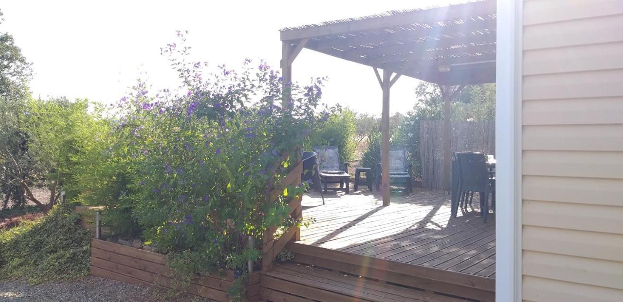 Lous Roussels * Le Bosc (Herault)
